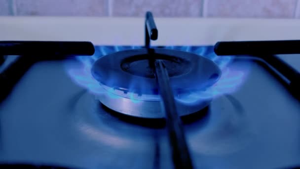 厨房的煤气炉燃着蓝色的火焰 忧郁的心情 — 图库视频影像