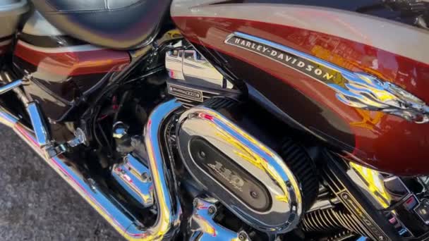 Itálie Března 2024 Harley Davidson 110 Jekot Orel Motocykl Zblízka — Stock video