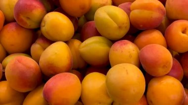 En üstte olgun kayısılar, meyve standında sergilenen sarı kayısıların üzerinde iz sürme.