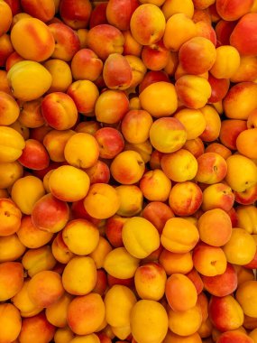 Arkaplan olarak kayısılar çerçeveyi doldurur, üst görünümde sarı olgun kayısılar