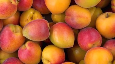 En üstte olgun kayısılar, meyve standında sergilenen sarı kayısıların üzerinde iz sürme.