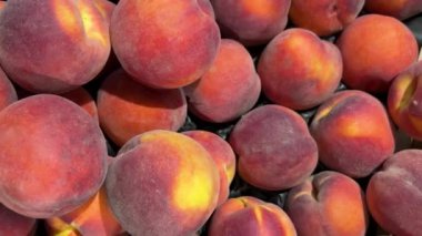 Yukarıdan görünen şeftaliler. Manavın tezgahına yerleştirilmiş şeftalilerin izini sürüyorum..  