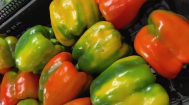 Yeşil ve kırmızı dolma biberler süpermarkette sergilenen kutularda, sürgülü takip çekimleri üst görüntüde 