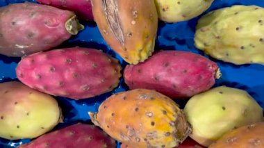 Mavi arka planda dikenli armutlar, meyve tezgahındaki kaktüs meyvesinin üst görüntüsünde iz sürme.