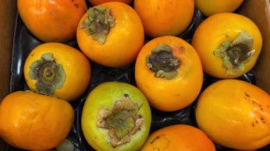 Meyve hurmaları meyve standında sergileniyor. Hurma ağacından yukarıdan çekilen görüntüler