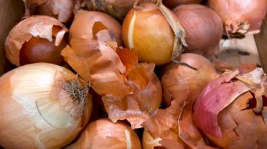 Manavda sergilenen sarı soğanlar. Soğan üzerinde sarı kabuklu iz sürme.