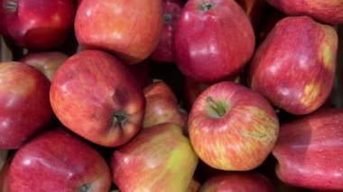 Meyve tezgahında ayarlanmış kırmızı lezzetli elmalar. Kırmızı elmaların üstünde iz sürme görüntüsü