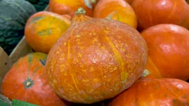Hokkaido balkabağı ya da Uchiki kuri, turuncu balkabağı görüntüsü. 