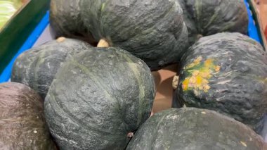 Delica balkabağı karton kasalarda, Kabocha Delica balkabakları manavın tezgahında.