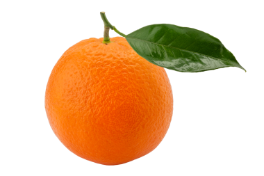 Yeşil yapraklı portakal meyvesi beyaza izole edilmiş ve kırpma yolu dahil