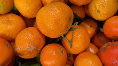 Yeşil yapraklı mandalinalar sebze dükkanında sergileniyor, yeşil yapraklarla Mandalina 'nın üst görüntüsünü izliyorlar.