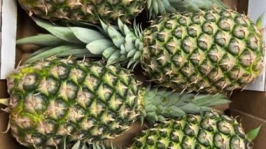 Karton kutuya yerleştirilmiş ananaslar, manavda satılan ananaslar üzerinde üst görünüm izleme görüntüleri.
