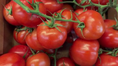 Süpermarkette sergilenen sandıktaki kırmızı domatesler, domatesin üst görüntüsünde kaydırma izi.