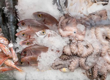 Pandora balığı pagellus erythrinus ve ahtapot balıkçının tezgahında buza maruz kalmışlar.