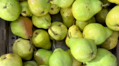 Williams markette karton sandıkta armut yiyor. Görüntüyü takip ediyor.