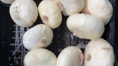 Beyaz soğanlar siyah plastik kutuda sergileniyor.
