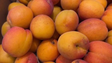 En üstte olgun kayısılar, bakkalda sergilenen kayısıların izini sürmek.