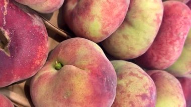 Snuff şeftalilerinin çekimleri takip ediliyor