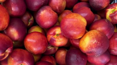 Nectarines peaches in crates at the greengrocer, tracking shot in top View on Nectarines 