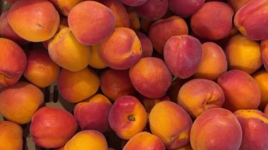 Olgun kayısılar sandıkta görüntülenir, kayısıların üst görüntüsünde izlenir.