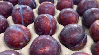 Karton kutuya yerleştirilmiş mor erikler, bakkal tarafından sergilenen eriklerin üzerindeki izleme çekimi.