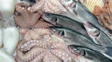 Balıkçı tezgahında deniz levreği, ahtapot ve mürekkep balığı var.