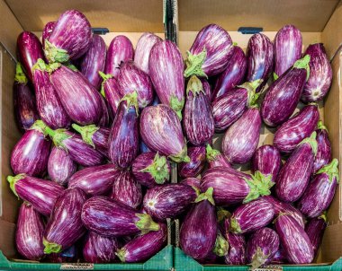 Üst görüntüdeki karton kutularda gösterilen mor çizgili patlıcanlar