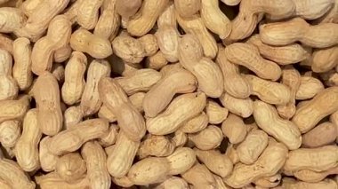 Kabuklarındaki fıstıklar arka plan olarak düzenlenir. Yer fıstığının üst görüntüsünü takip ederler.