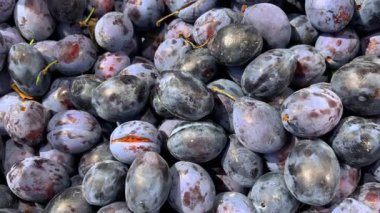 Erikler en üstte görünüyor, pazarda kasalarda sergilenen erikleri takip ediyorlar.