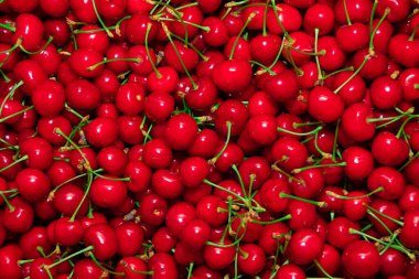 Olgun ve sulu kiraz meyvesi