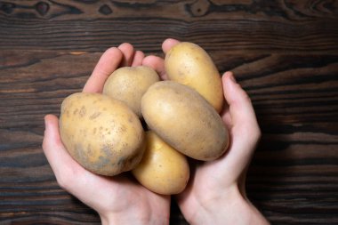 Patatesleri tutan el. Yüksek kalite fotoğraf. Patatesler çok sağlıklıdır ve birçok sağlık faydaları içerirler. 