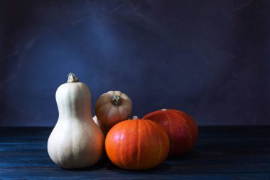 Kasvetli ve gizemli, kasvetli mavi arka planda balkabaklarının yer aldığı bir hayat. Minimalist kompozisyon ve gölgeler ürkütücü bir atmosfer yaratıyor. Cadılar Bayramı temalı görseller için mükemmel..