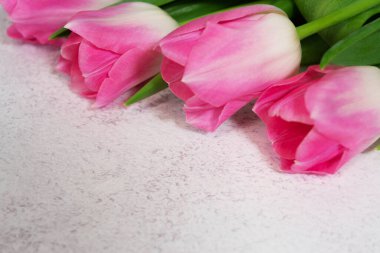 Açık renkli arka planda narin pembe laleler. Bahar hayallerini ve güzelliklerini somutlaştırıyor..