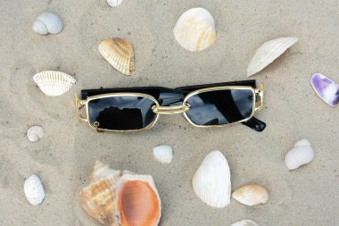 Altın çerçeveli şık siyah güneş gözlükleri deniz kabukları arasında güneşli kumsalda dinleniyor. Yaz, seyahat, moda ve kıyı yaşam tarzı temaları için ideal.