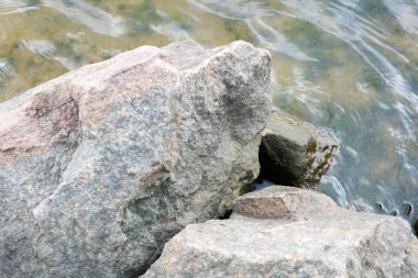 Sığ bir derede yuva yapmış yıpranmış taşlar doğal dokular ve açık hava ortamında toprak renkleri sergiliyordu..