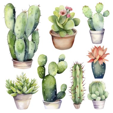 Cactus Watercolor Illustration.Succulent and Cacti Prints Elements clipart