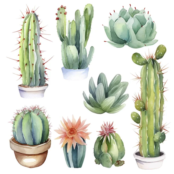 Cactus Watercolor Illustration Succulent Cacti Imprime Elementos —  Vetores de Stock