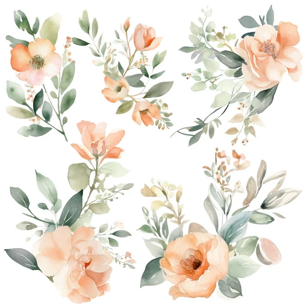Aquarell Blumen Kollektion Pfirsich Floral Illustrationen Für Einfache Und Elegante — Stockvektor