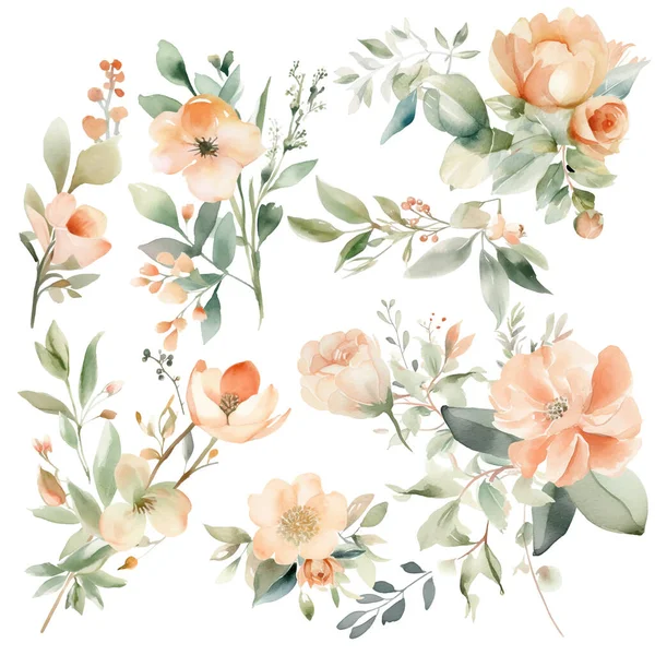 Коллекция Акварельных Цветов Персиковые Цветочные Иллюстрации Простых Элегантных Свадебных Дизайнов — стоковый вектор