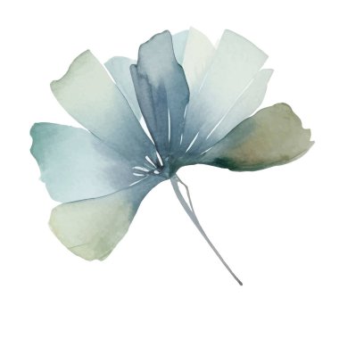 Suluboya elle boyanmış çiçek çizimi. Çiçek süsleme elementleri beyaz arkaplanda izole