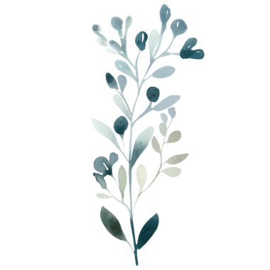 Suluboya elle boyanmış çiçek çizimi. Çiçek süsleme elementleri beyaz arkaplanda izole