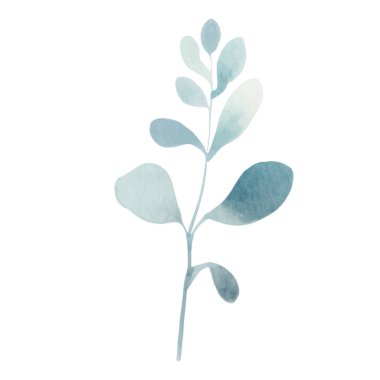 Suluboya elle boyanmış çiçek çizimi. Çiçek süsleme elementleri beyaz arkaplanda izole