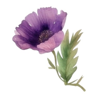 Çiçek dekorasyonu seti. Renkli çiçekli, yapraklı, dallı botanik düzenlemeleri. Düğün için çiçek unsurları, tebrik kartı ya da logo kompozisyon tasarımı. Vektör illüstrasyonu