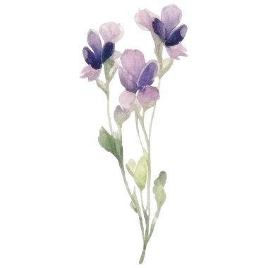 Çiçek dekorasyonu seti. Renkli çiçekli, yapraklı, dallı botanik düzenlemeleri. Düğün için çiçek unsurları, tebrik kartı ya da logo kompozisyon tasarımı. Vektör illüstrasyonu