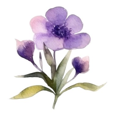 Çiçek dekorasyonu seti. Renkli çiçekli, yapraklı, dallı botanik düzenlemeleri. Düğün için çiçek unsurları, tebrik kartı ya da logo kompozisyon tasarımı. Vektör illüstrasyonu