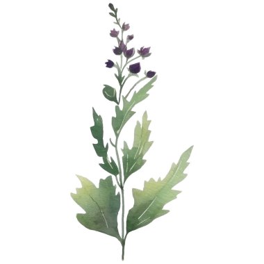 Çiçek dekorasyonu seti. Renkli çiçekli, yapraklı, dallı botanik düzenlemeleri. Düğün için çiçek unsurları, tebrik kartı ya da logo kompozisyon tasarımı. Vektör illüstrasyonu