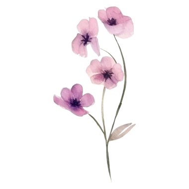 Çiçek dekorasyonu seti. Renkli çiçekli, yapraklı, dallı botanik düzenlemeleri. Düğün için çiçek unsurları, tebrik kartı ya da logo kompozisyon tasarımı. Vektör illüstrasyonu