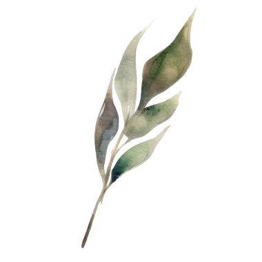 Çiçek dekorasyonu seti. Renkli çiçekli, yapraklı, dallı botanik düzenlemeleri. Düğün için çiçek unsurları, tebrik kartı ya da logo kompozisyon tasarımı. Vektör illüstrasyonu