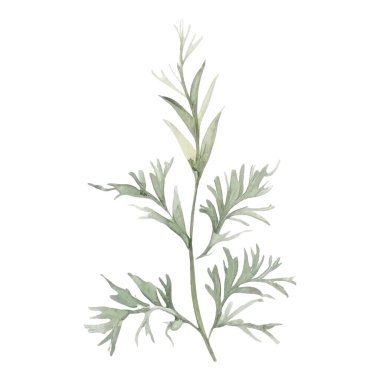 Çiçek dekorasyonu seti. Renkli çiçekli, yapraklı, dallı botanik düzenlemeleri. Düğün için çiçek unsurları, tebrik kartı ya da logo kompozisyon tasarımı. Vektör illüstrasyonu