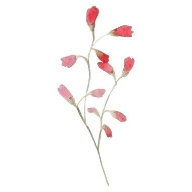 Çiçek dekorasyonu seti. Renkli çiçekli, yapraklı, dallı botanik düzenlemeleri. Düğün için çiçek unsurları, tebrik kartı ya da logo kompozisyon tasarımı. Vektör illüstrasyonu